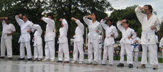 White belts doing face blocks