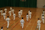 Sensei Mori Class Nov. 2007